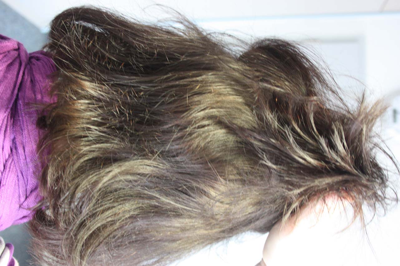 index.php/fa/36598/0/