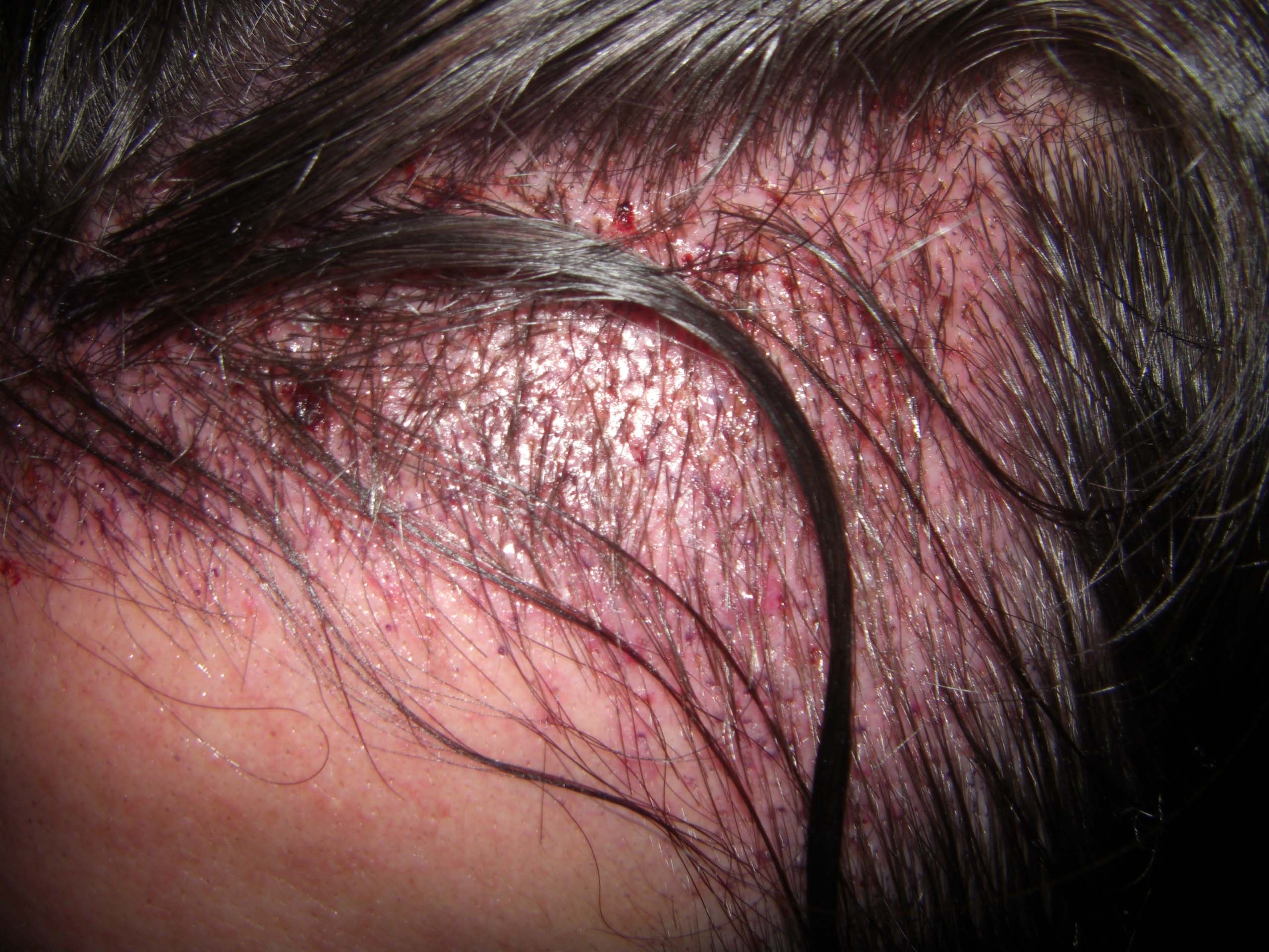 index.php/fa/36606/0/