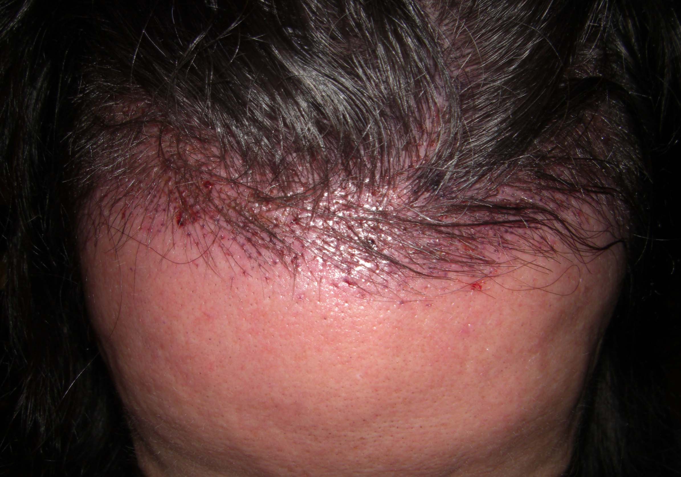 index.php/fa/36607/0/