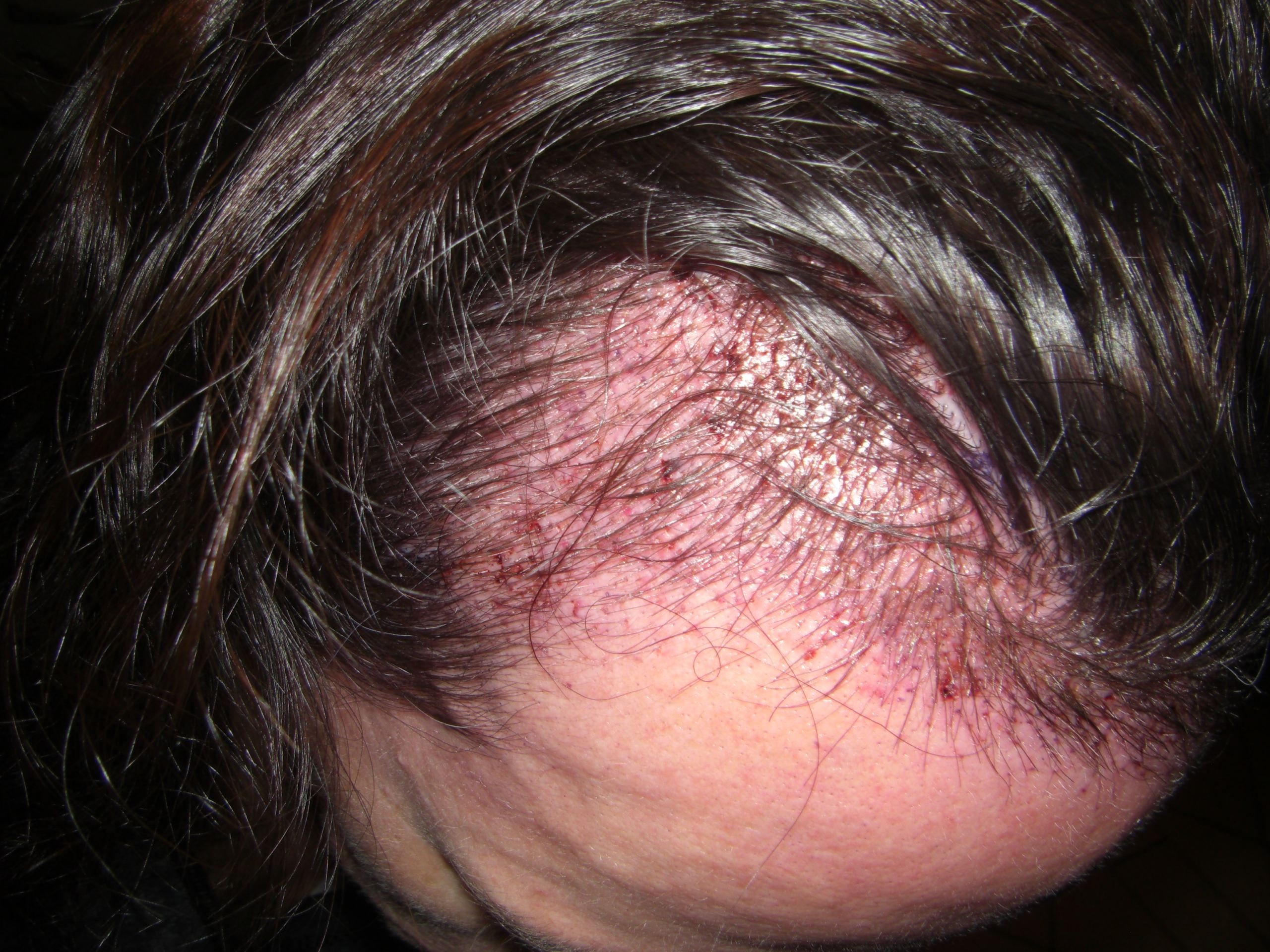 index.php/fa/36608/0/