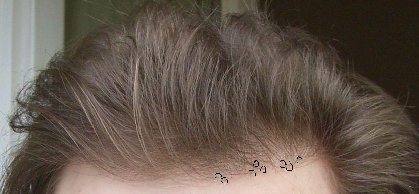 index.php/fa/3661/0/