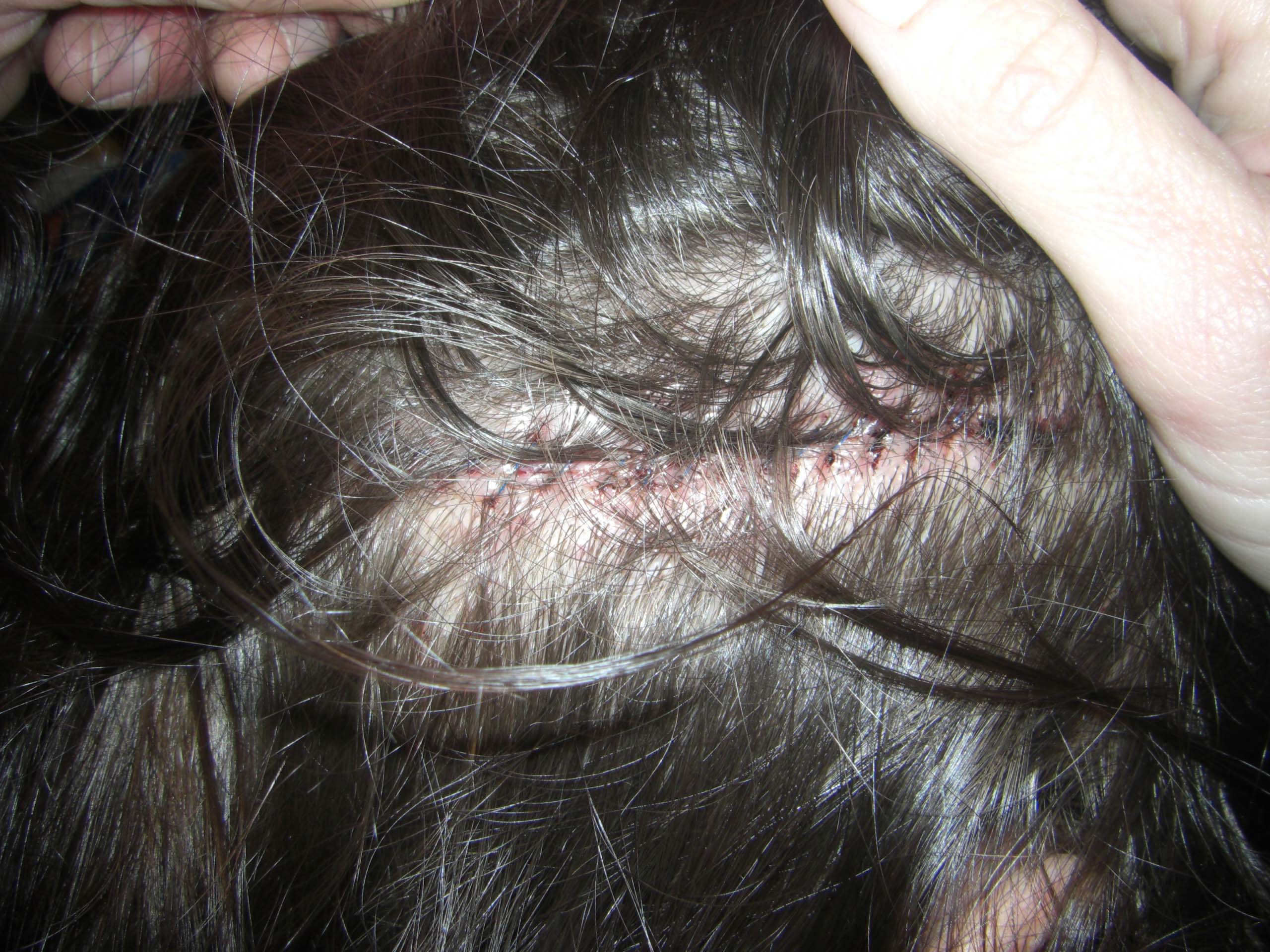 index.php/fa/36611/0/