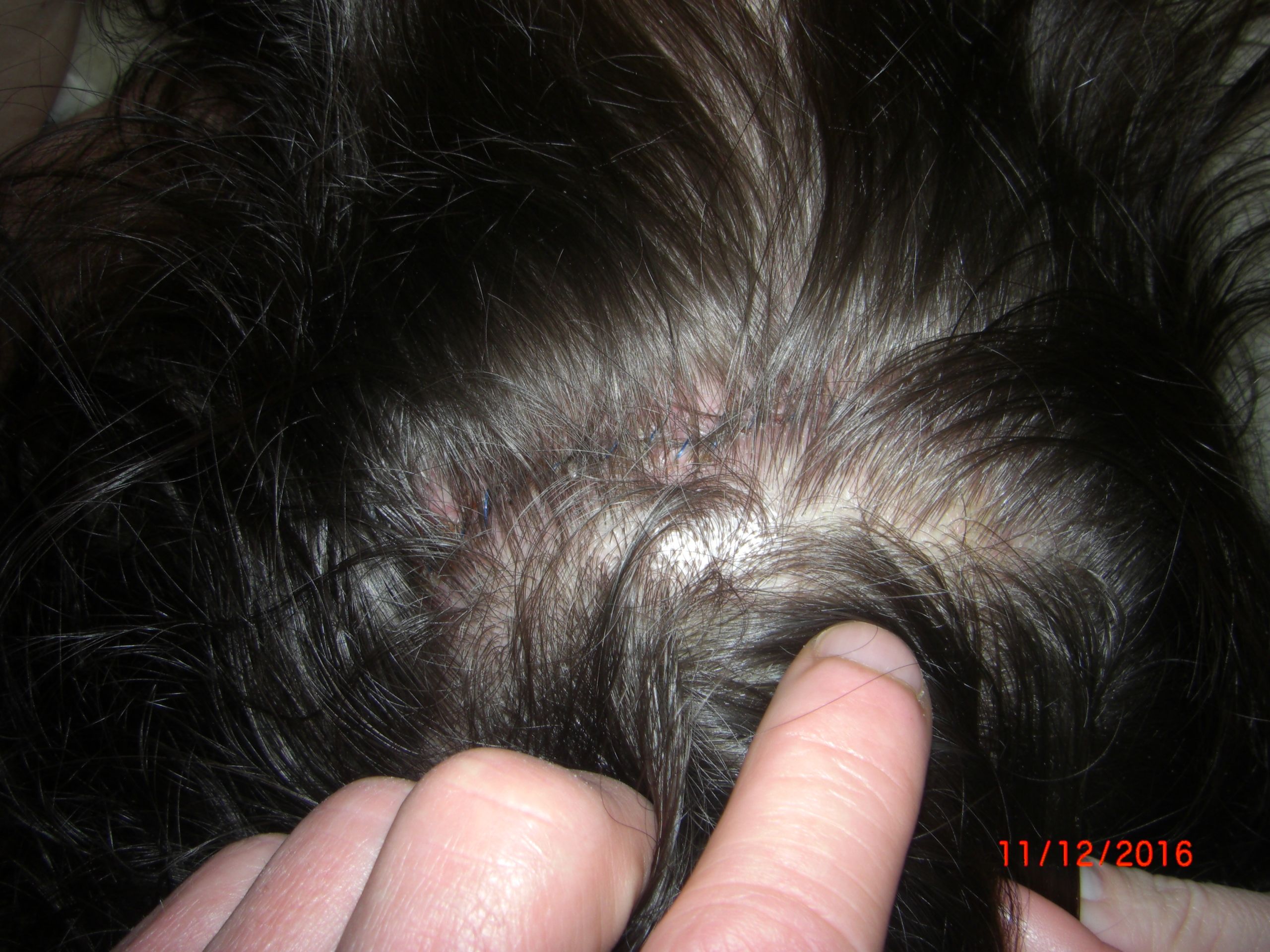 index.php/fa/36614/0/