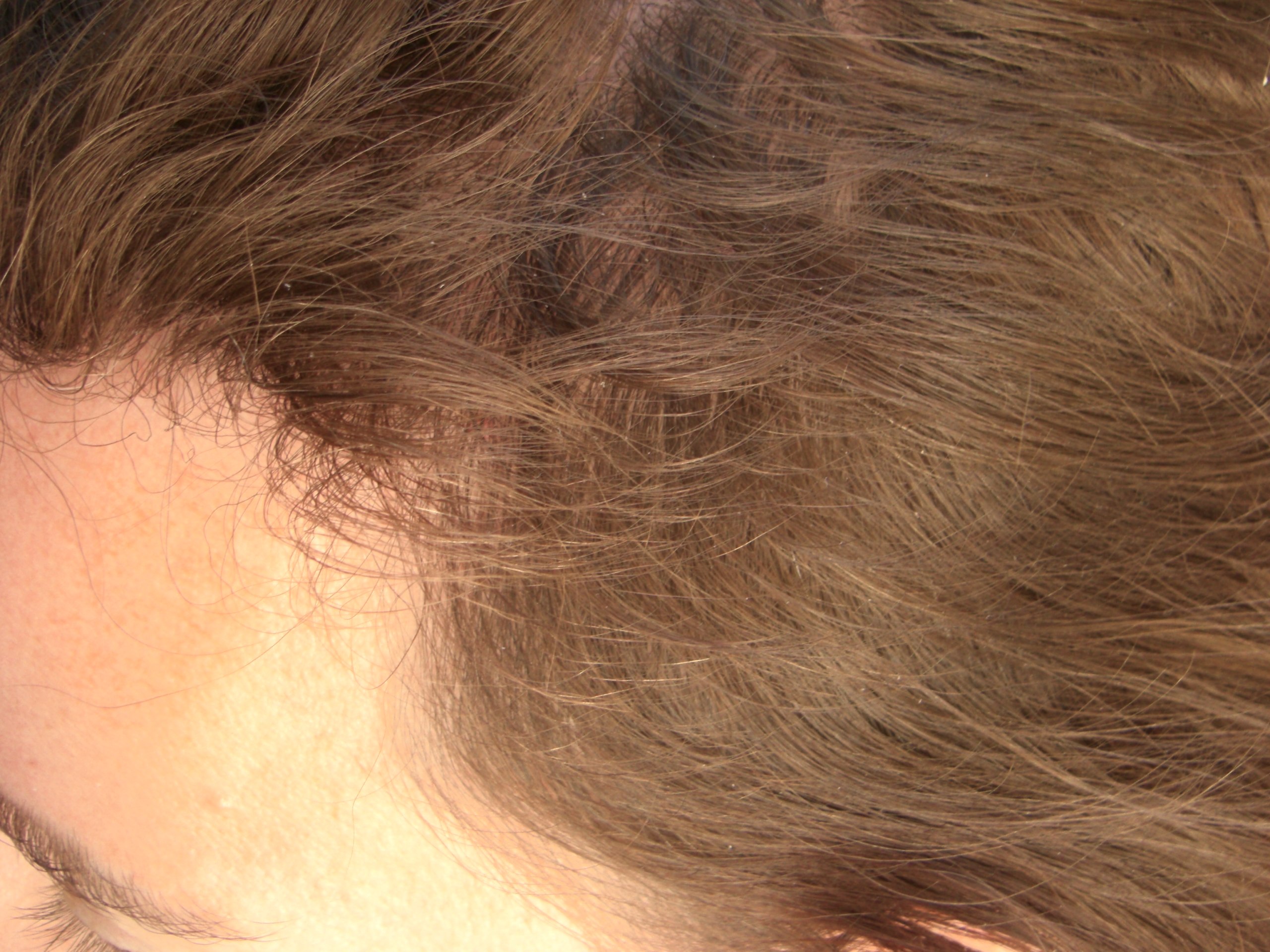 index.php/fa/36622/0/