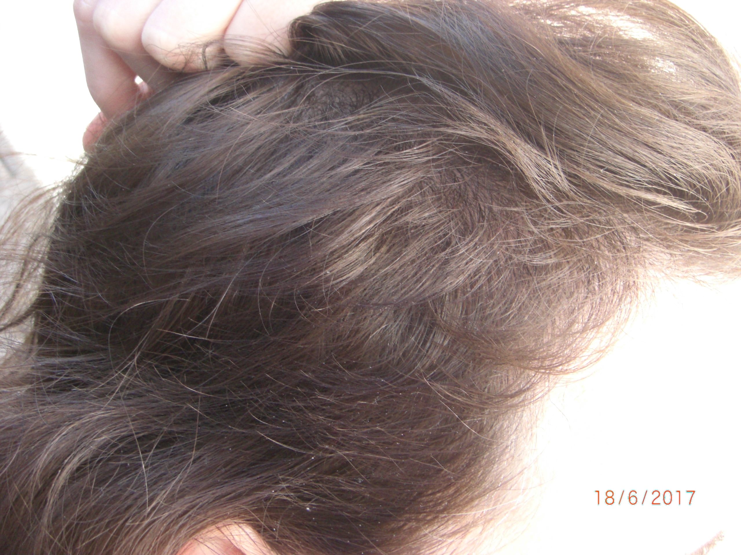 index.php/fa/36623/0/