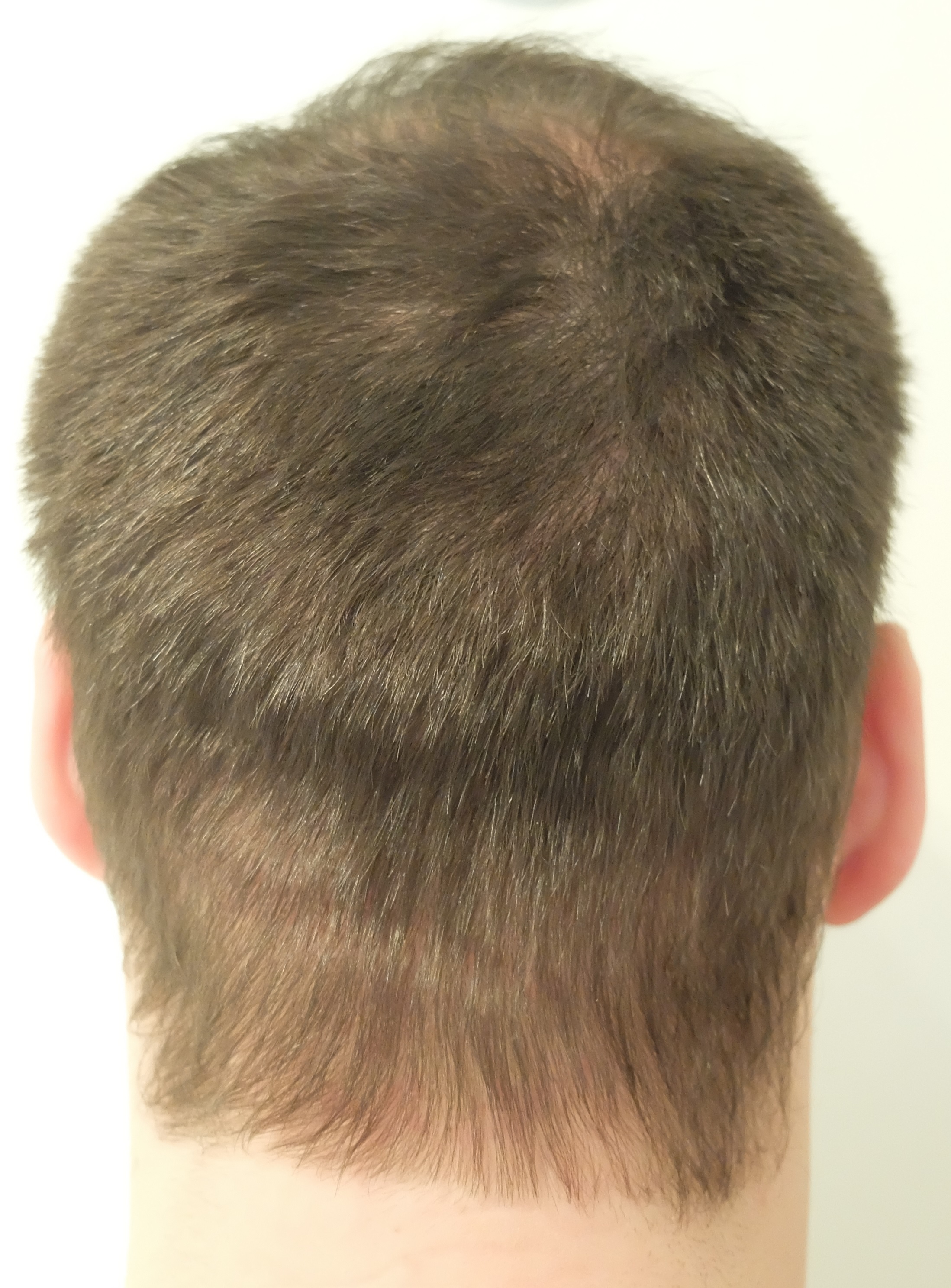 index.php/fa/36708/0/