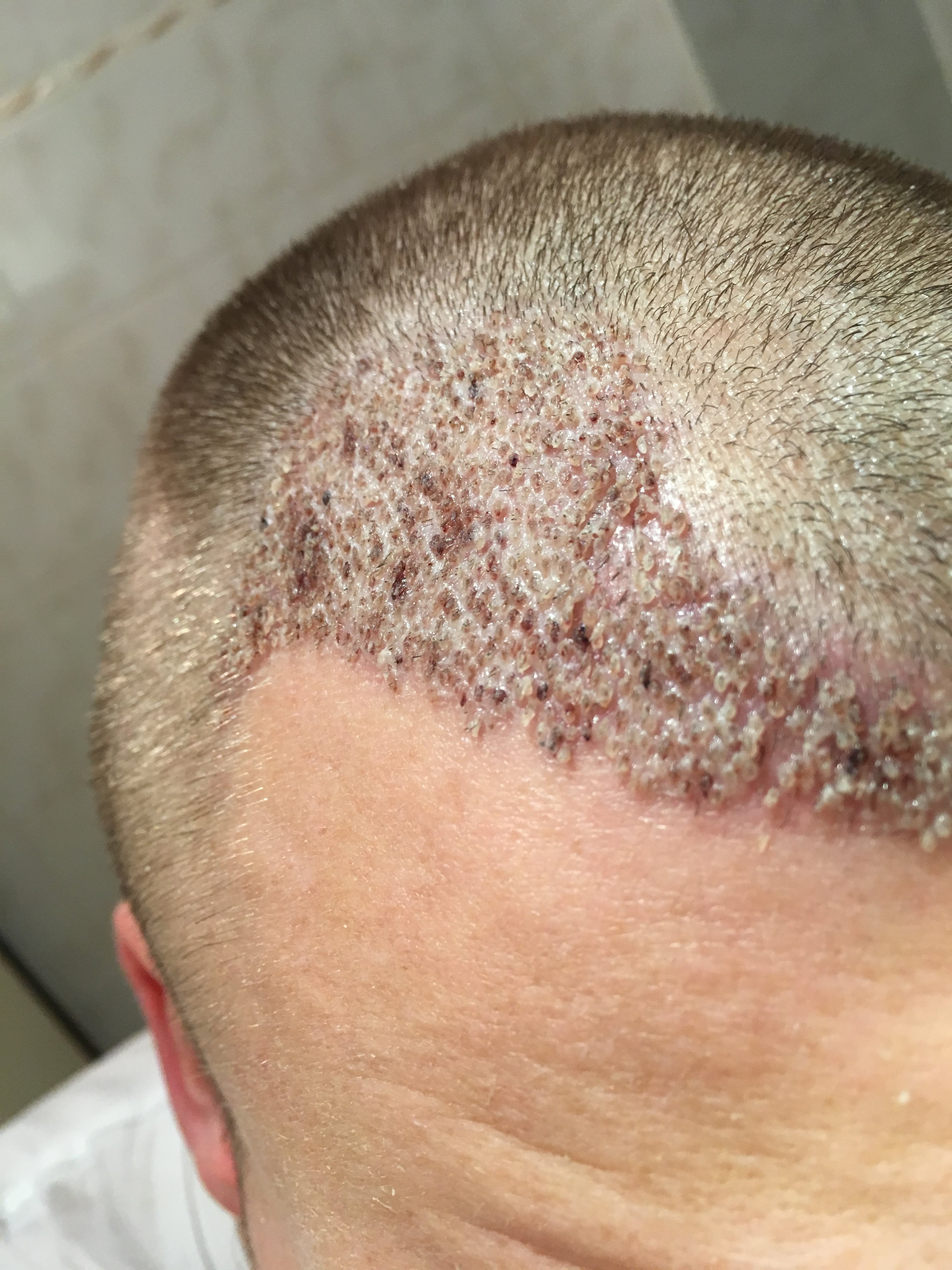 index.php/fa/37140/0/