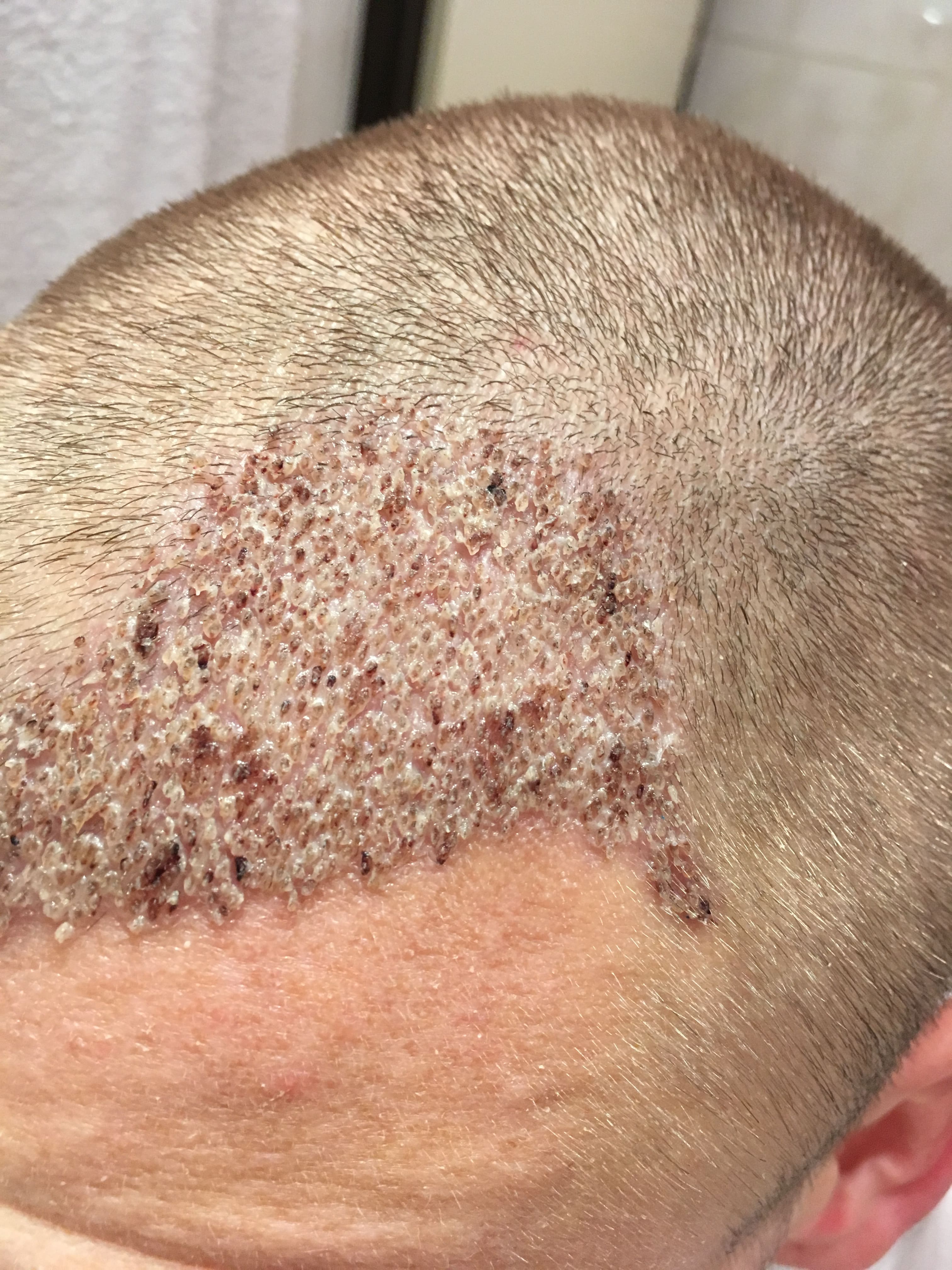 index.php/fa/37141/0/