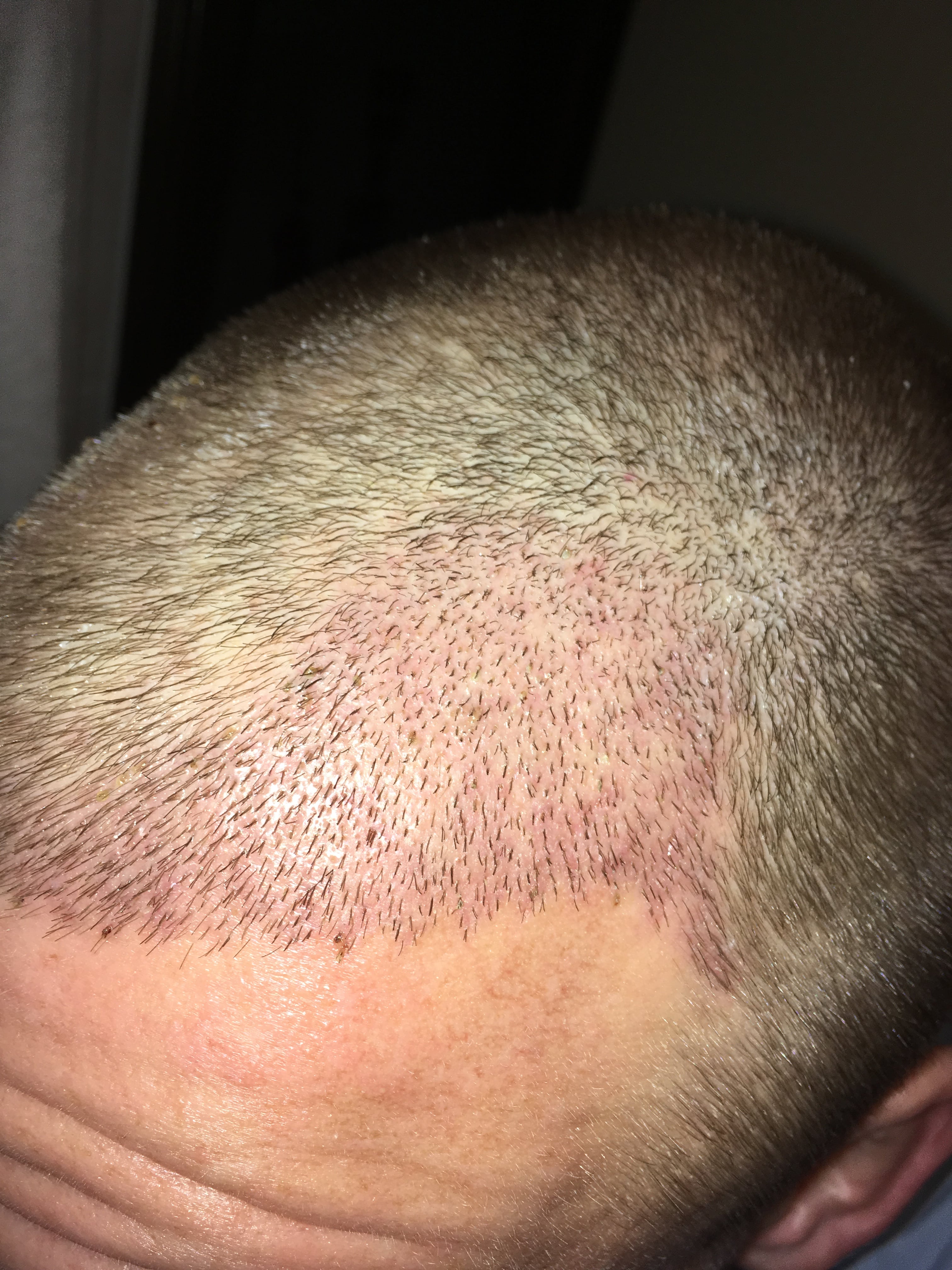 index.php/fa/37171/0/