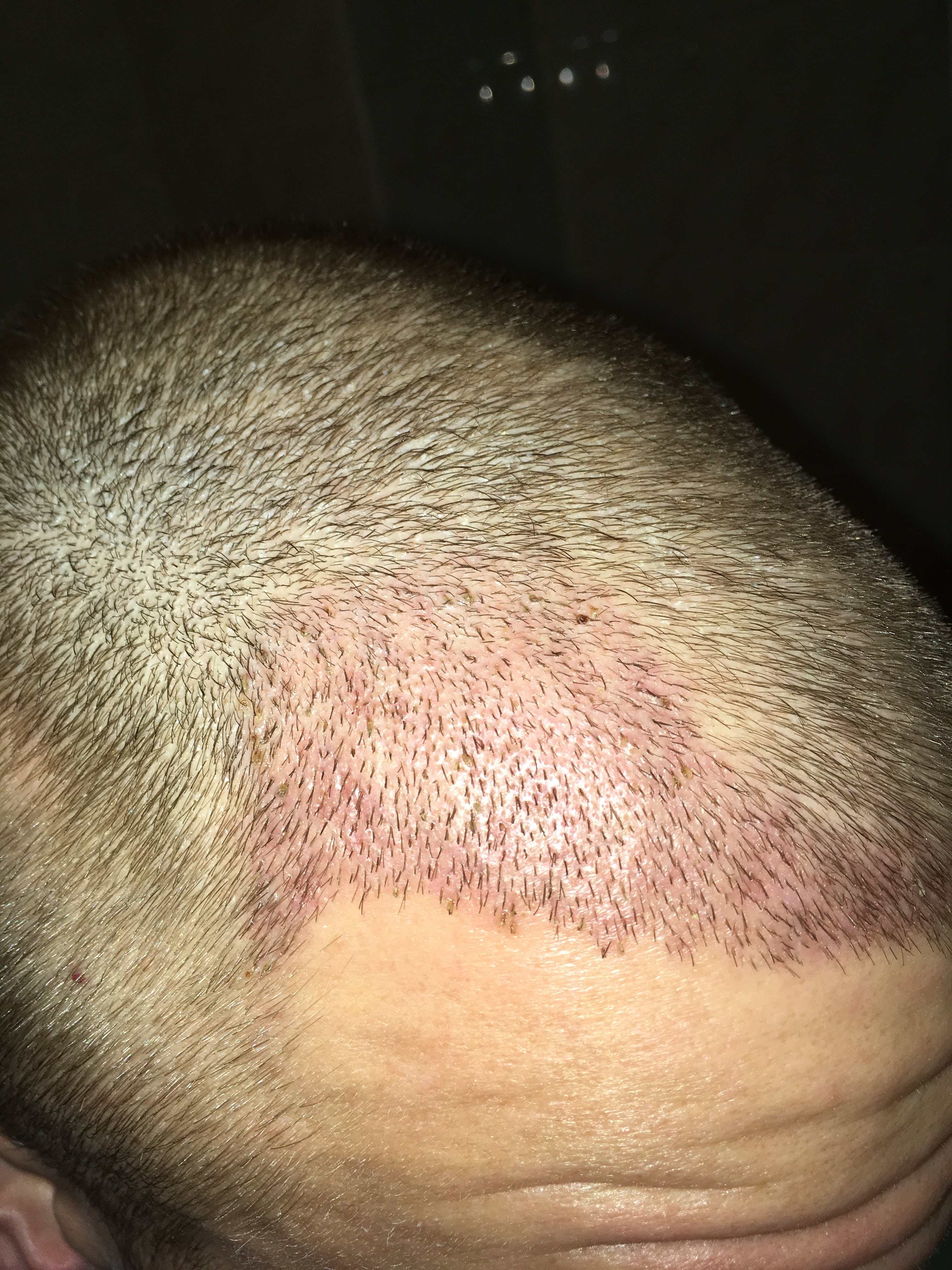 index.php/fa/37172/0/