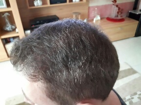 index.php/fa/37208/0/