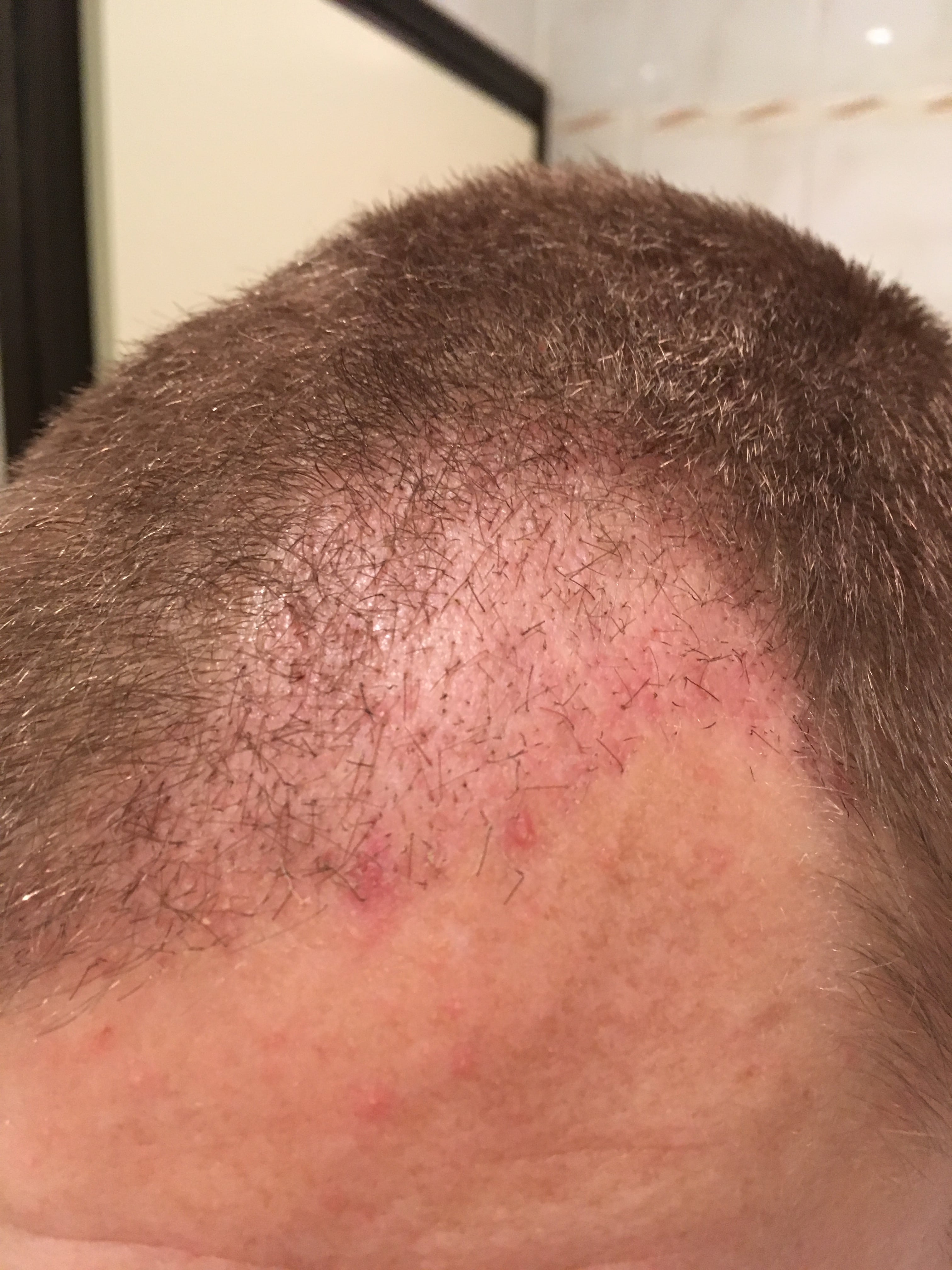 index.php/fa/37348/0/