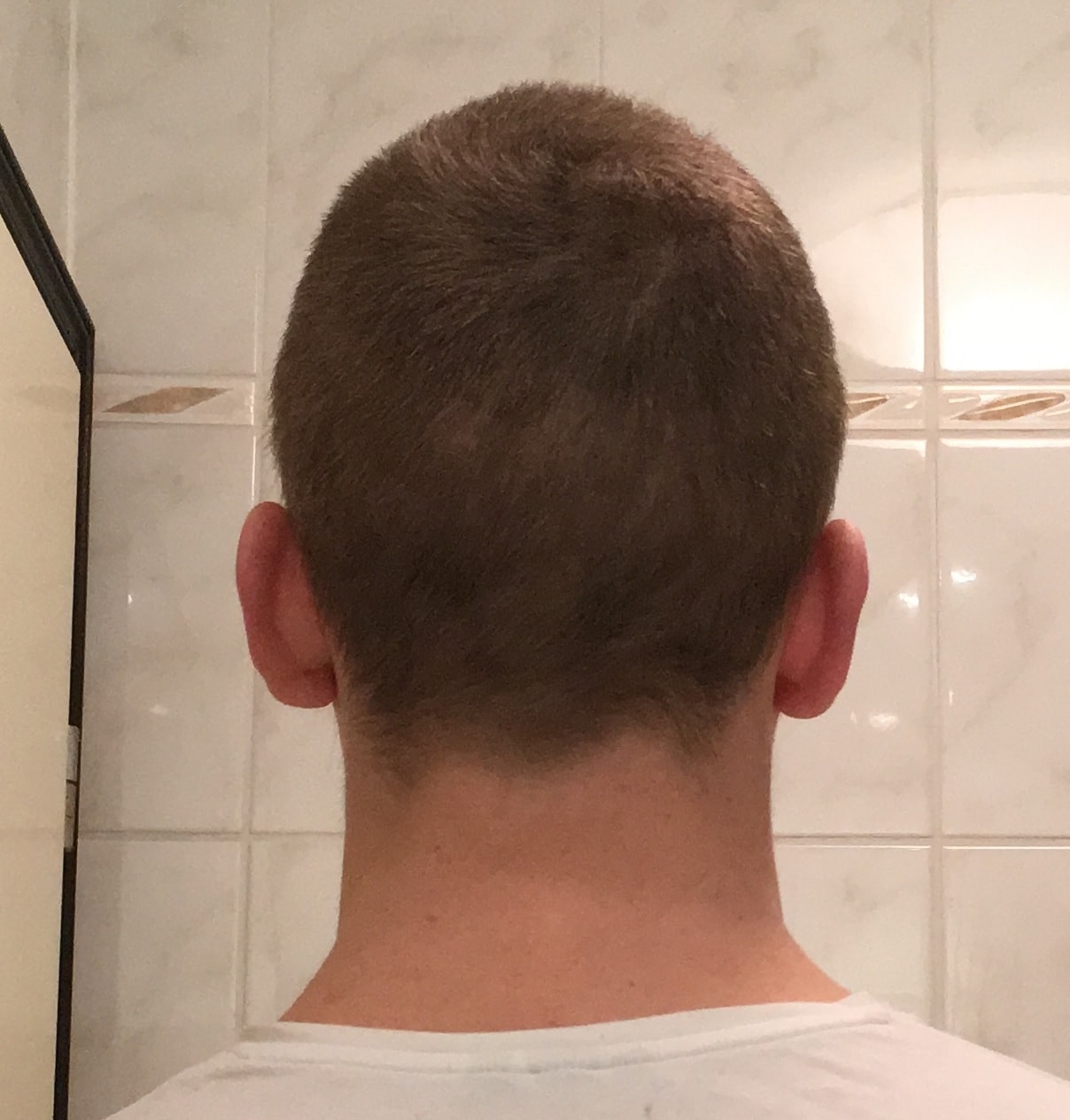 index.php/fa/37349/0/