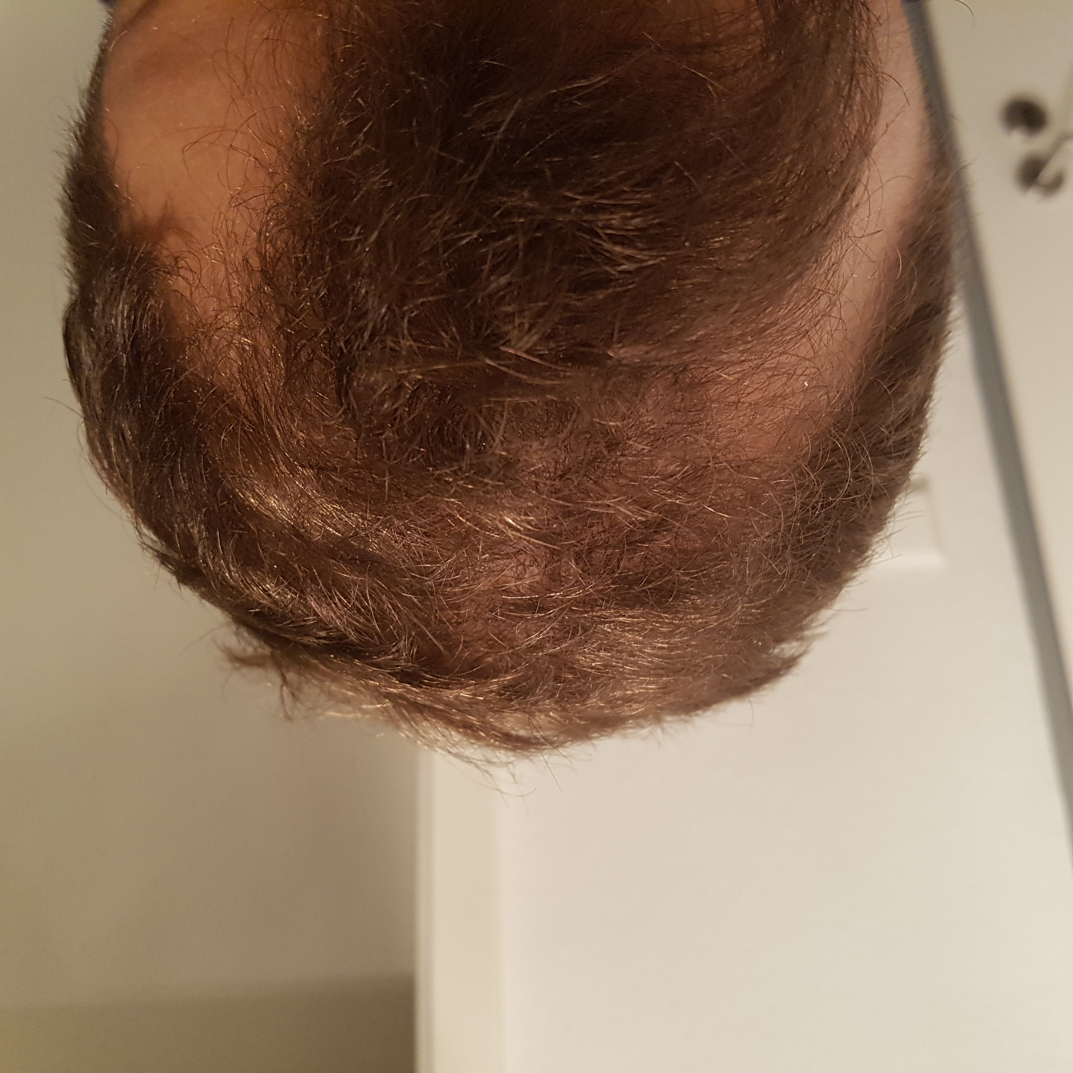 index.php/fa/37353/0/