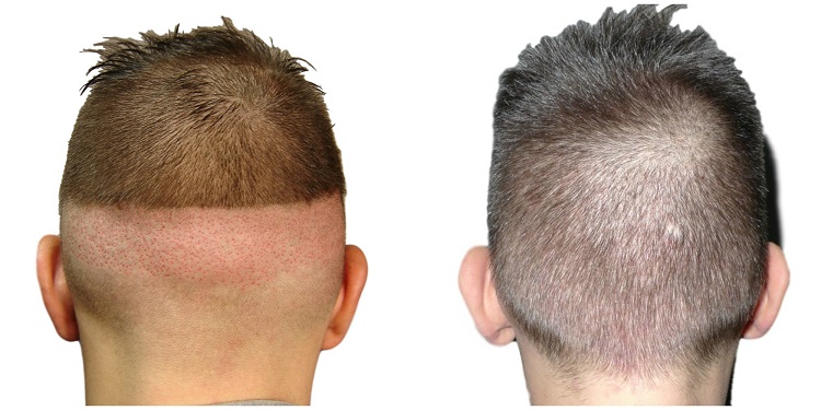 index.php/fa/37527/0/