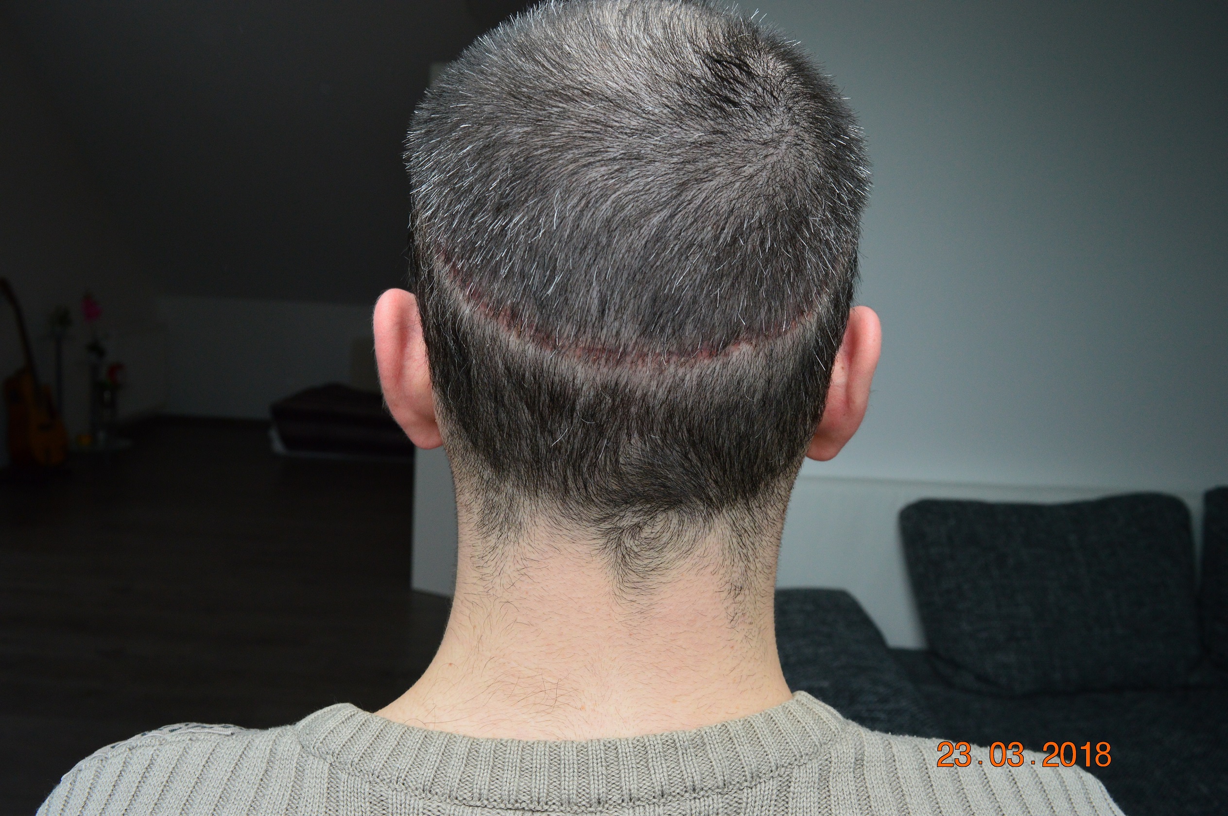 index.php/fa/37803/0/