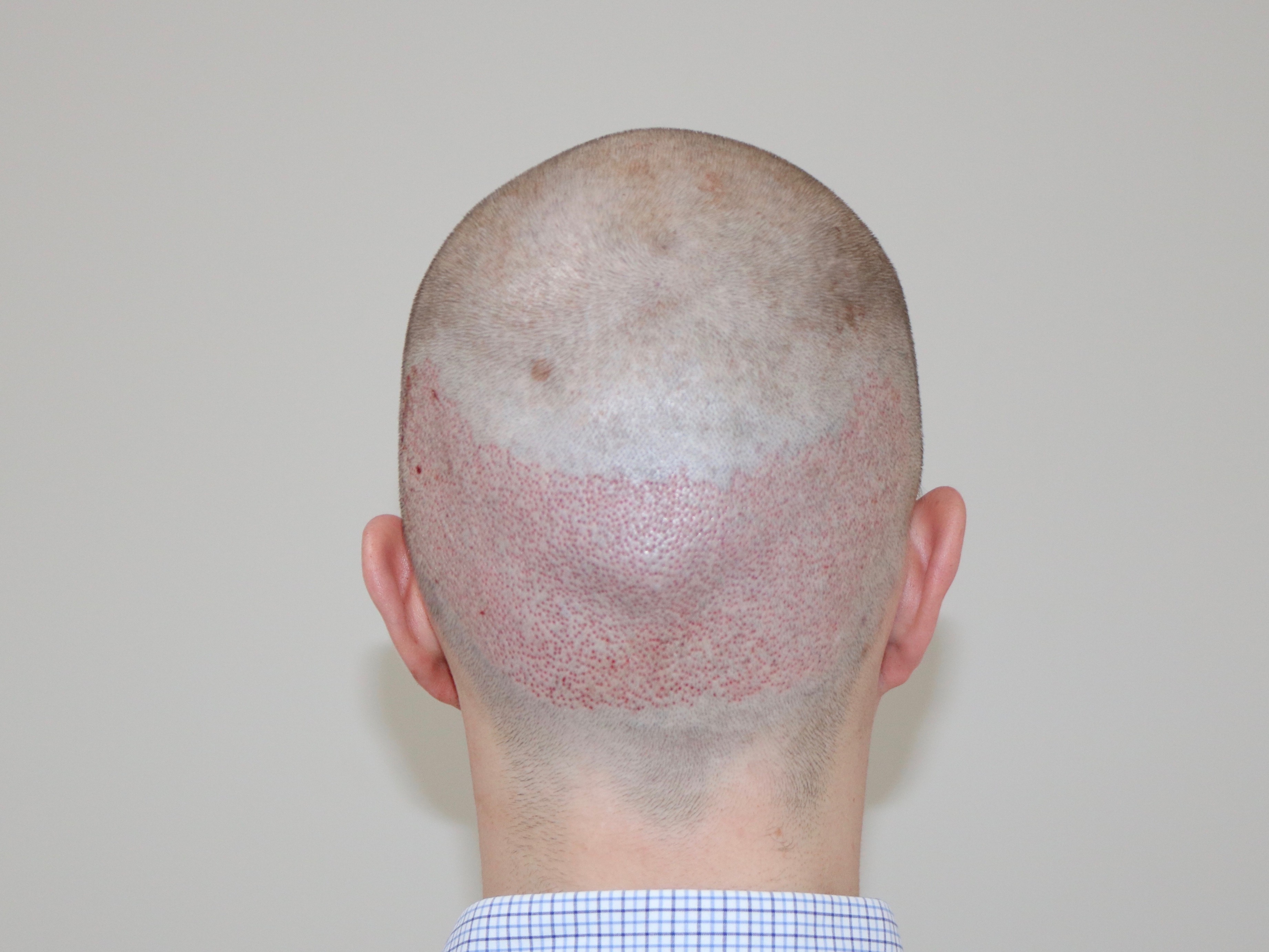 index.php/fa/37904/0/