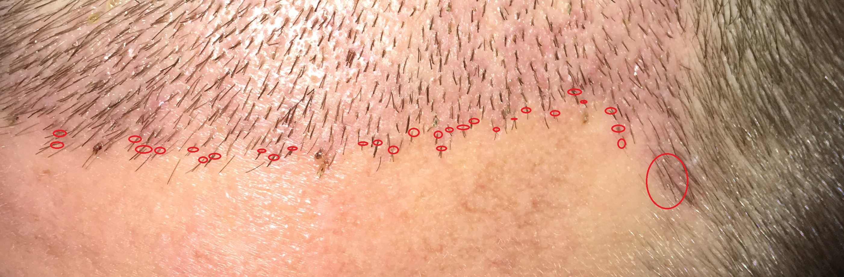 index.php/fa/37913/0/