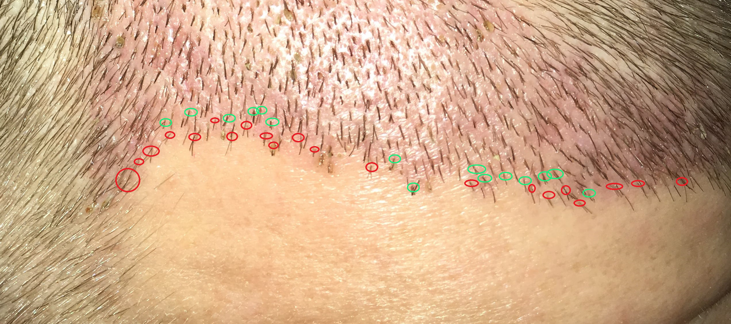 index.php/fa/37915/0/