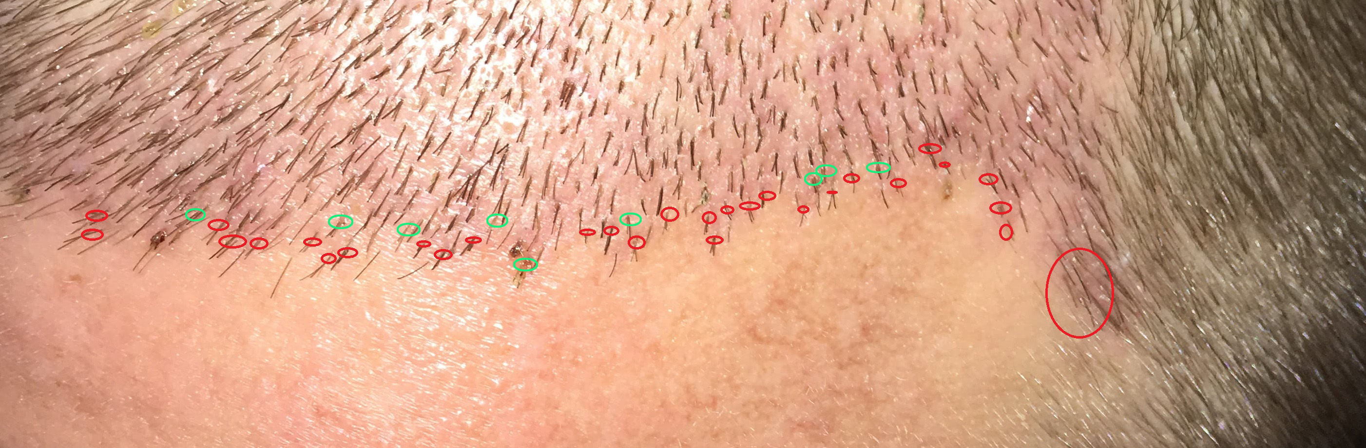 index.php/fa/37916/0/