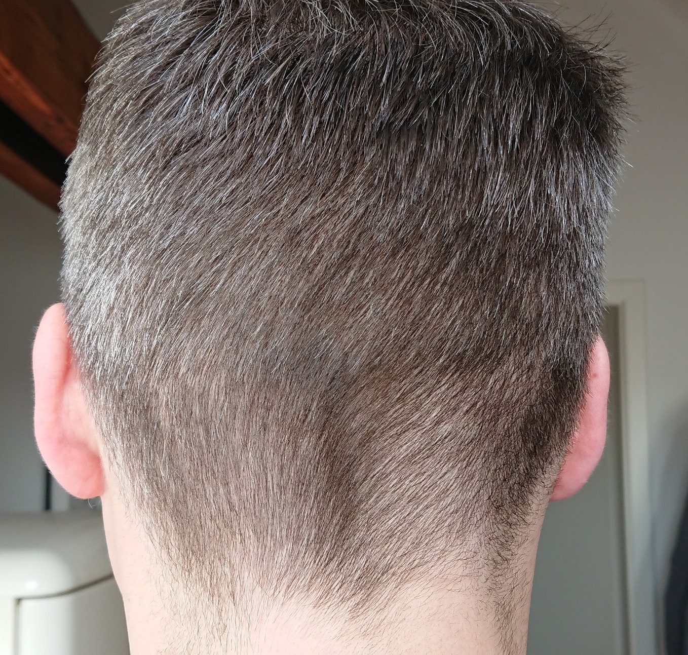 index.php/fa/37920/0/