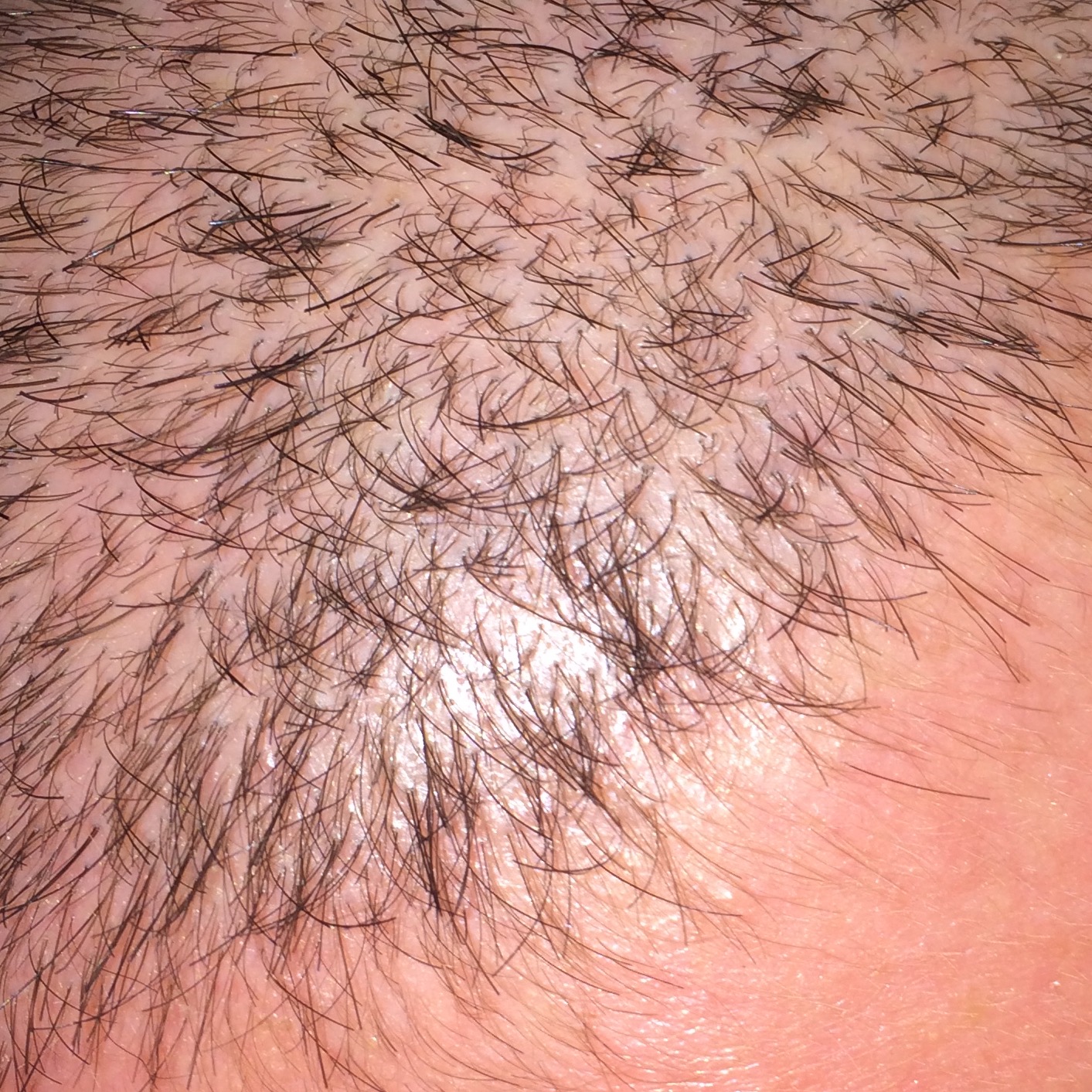 index.php/fa/37943/0/