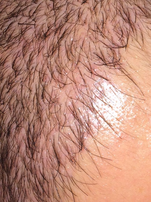 index.php/fa/37955/0/