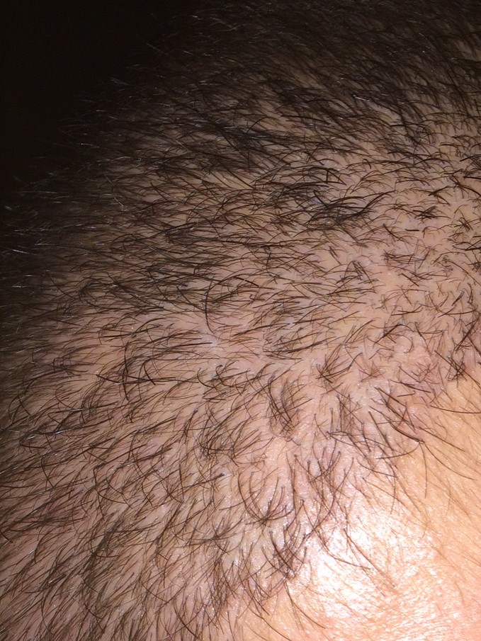 index.php/fa/37956/0/