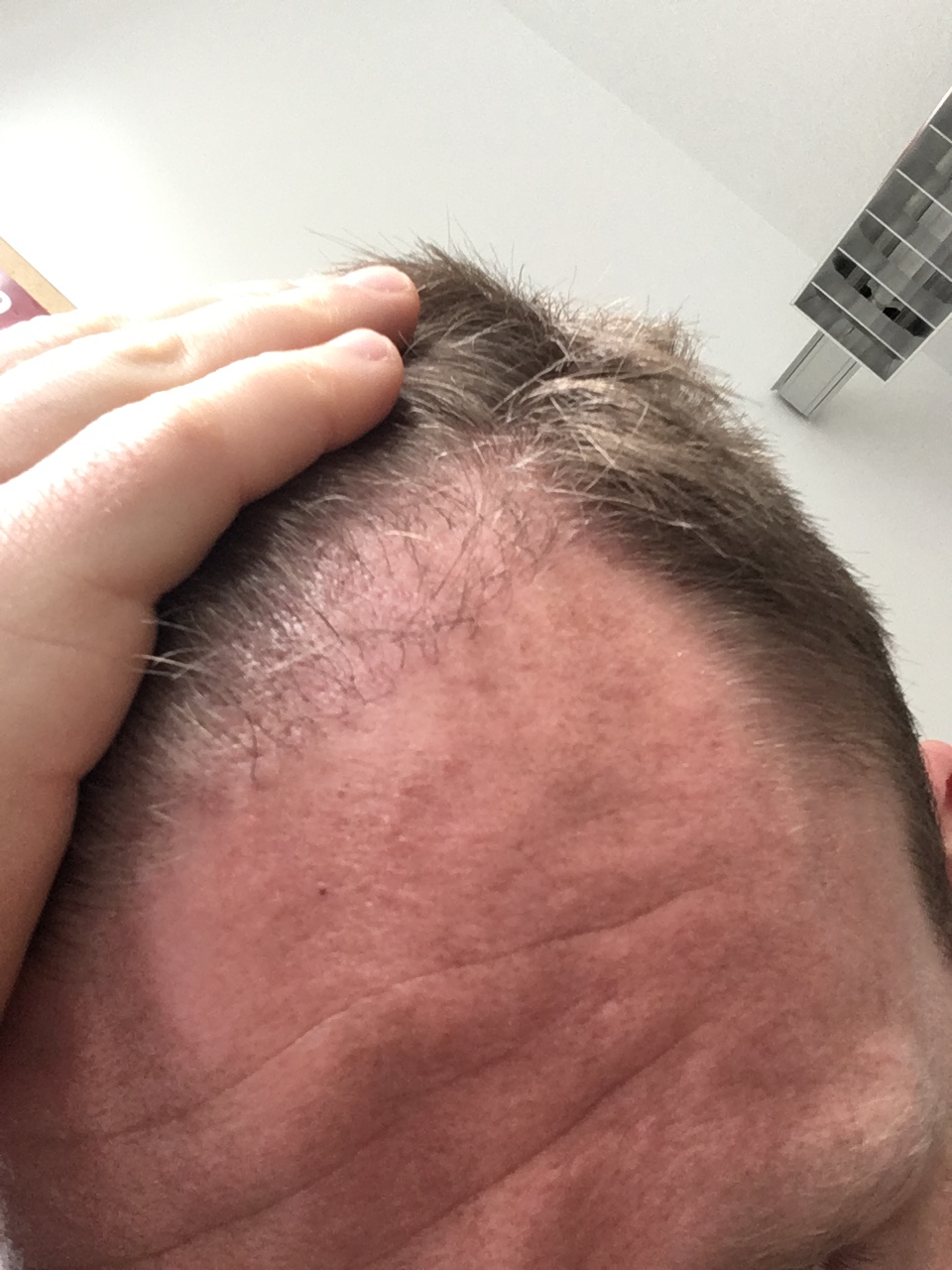 index.php/fa/38134/0/