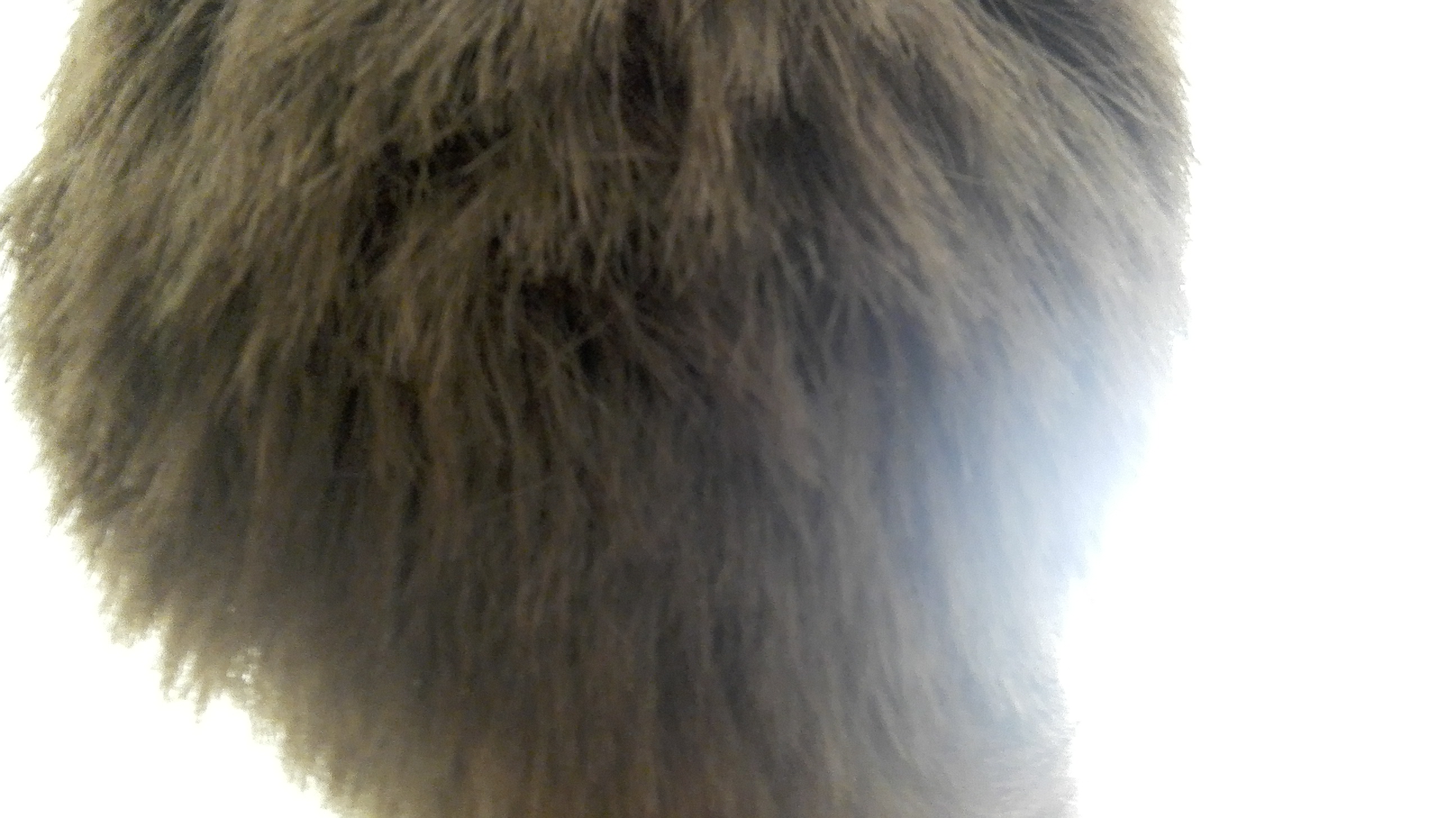 index.php/fa/38399/0/