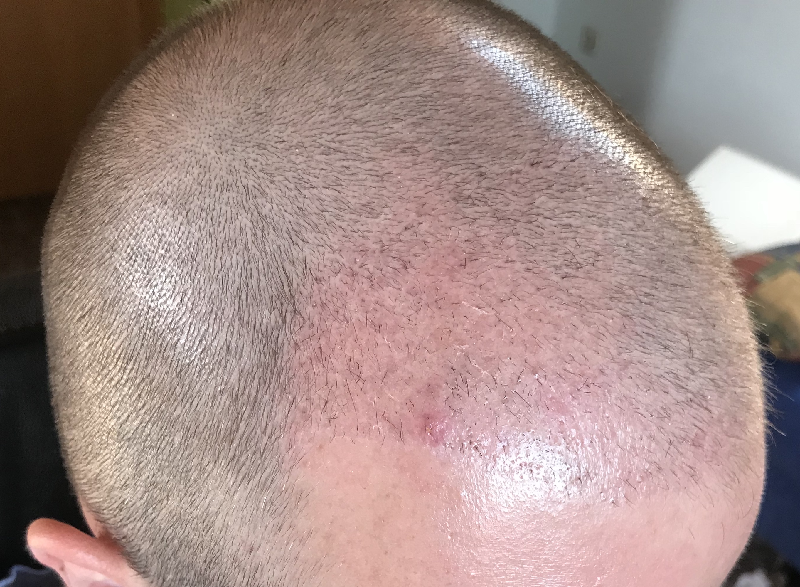 index.php/fa/38434/0/