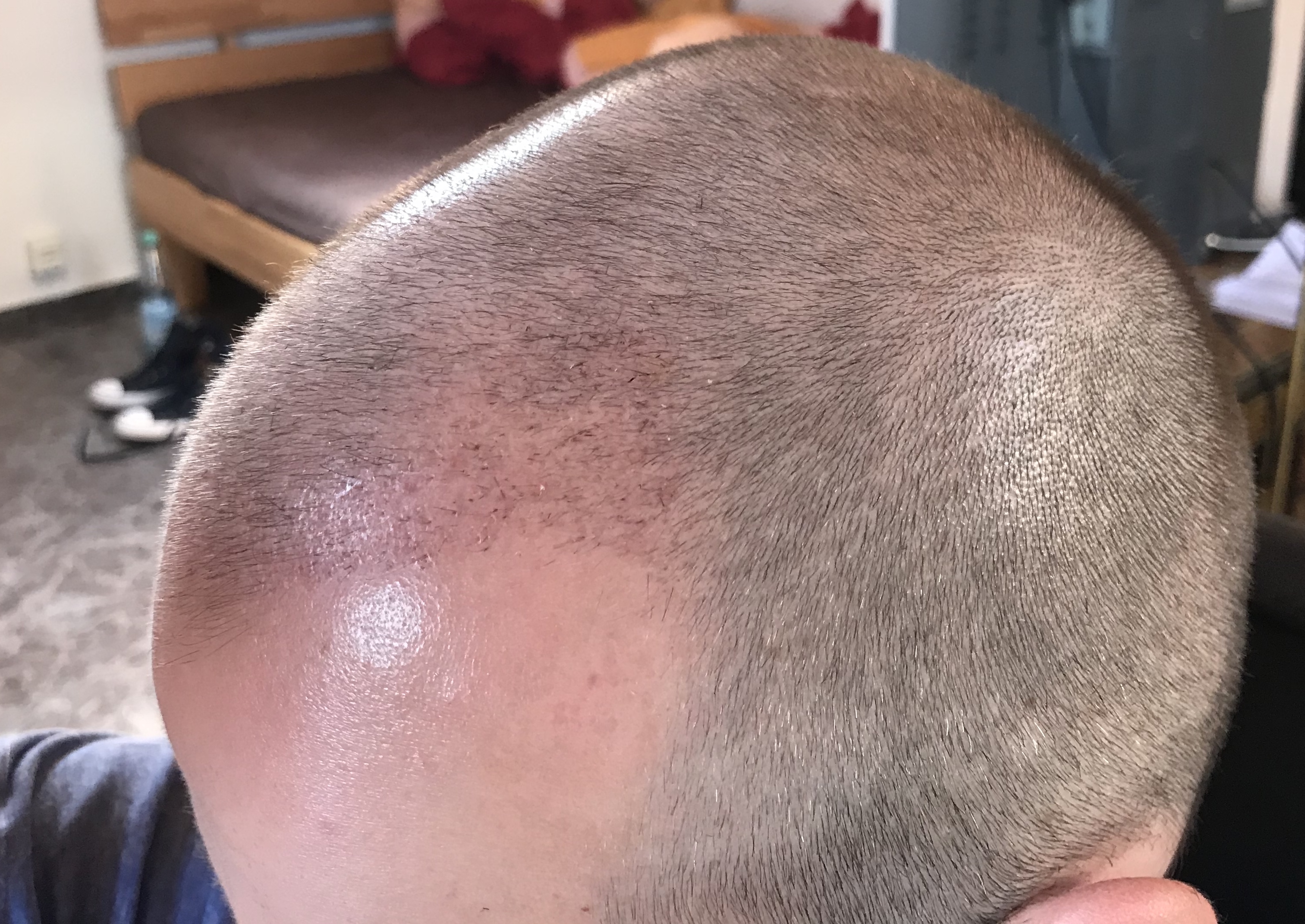 index.php/fa/38435/0/