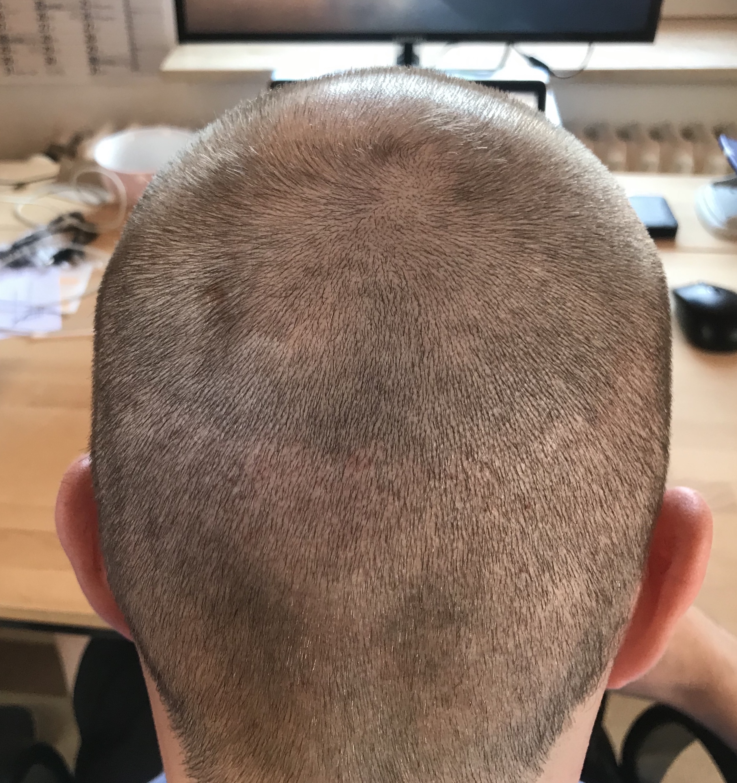 index.php/fa/38436/0/