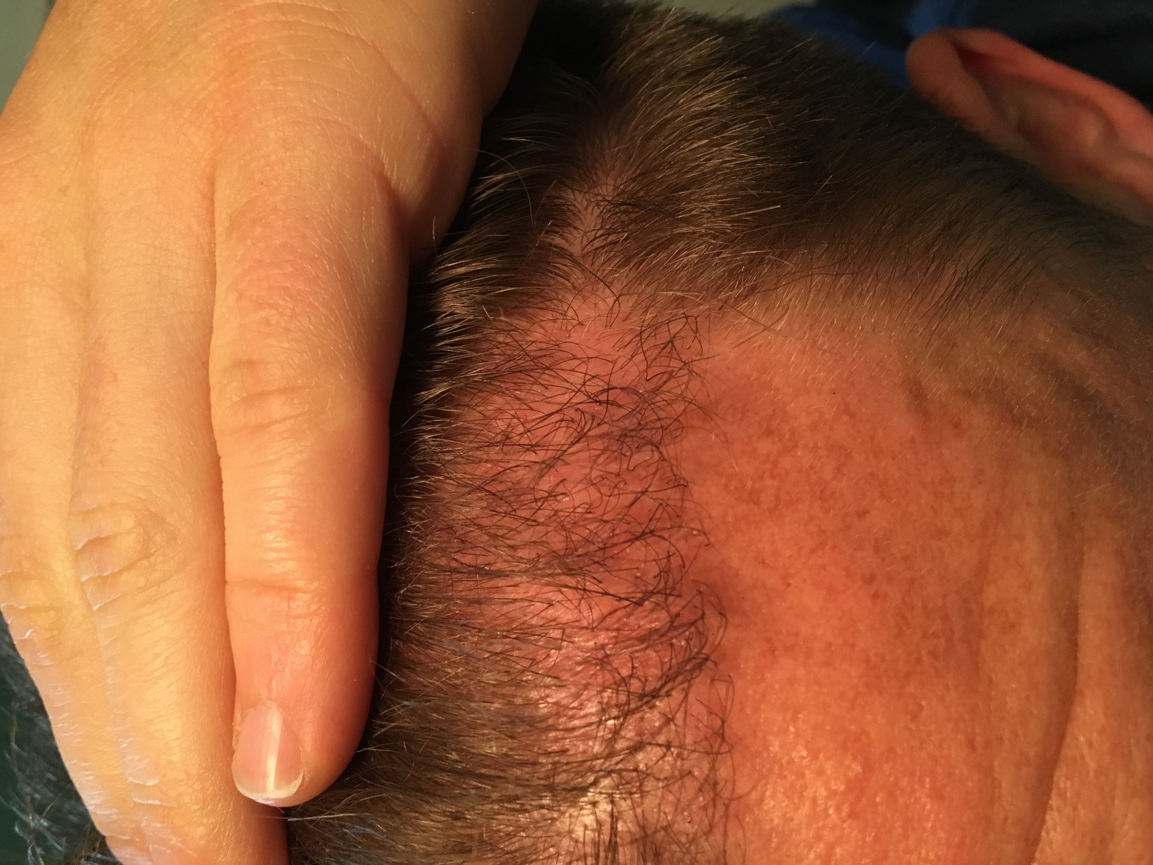 index.php/fa/38533/0/