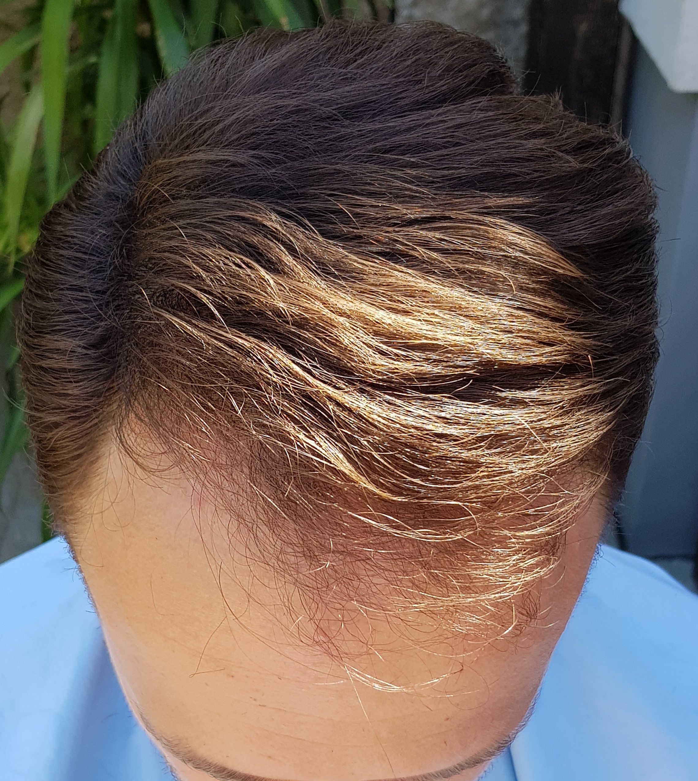 /foren/transplant/index.php/fa/38580/0/