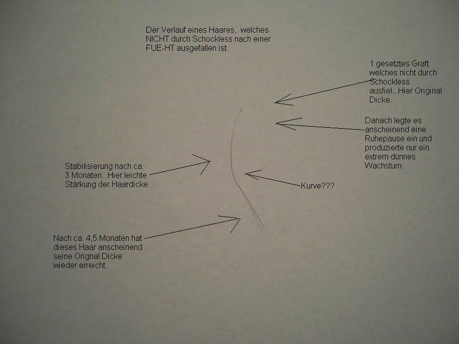 index.php/fa/3865/0/