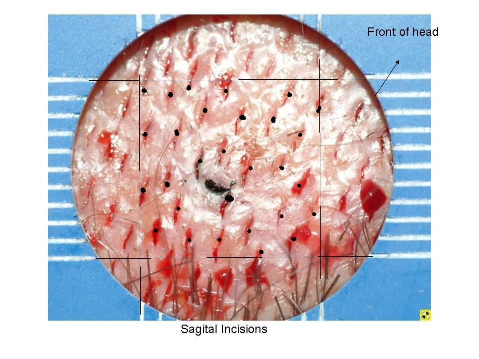 index.php/fa/3874/0/