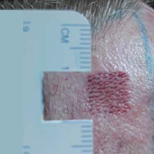 index.php/fa/3962/0/