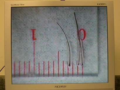 index.php/fa/4234/0/