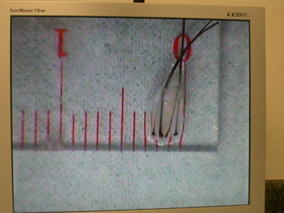 index.php/fa/4236/0/