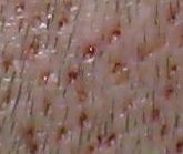 index.php/fa/4288/0/