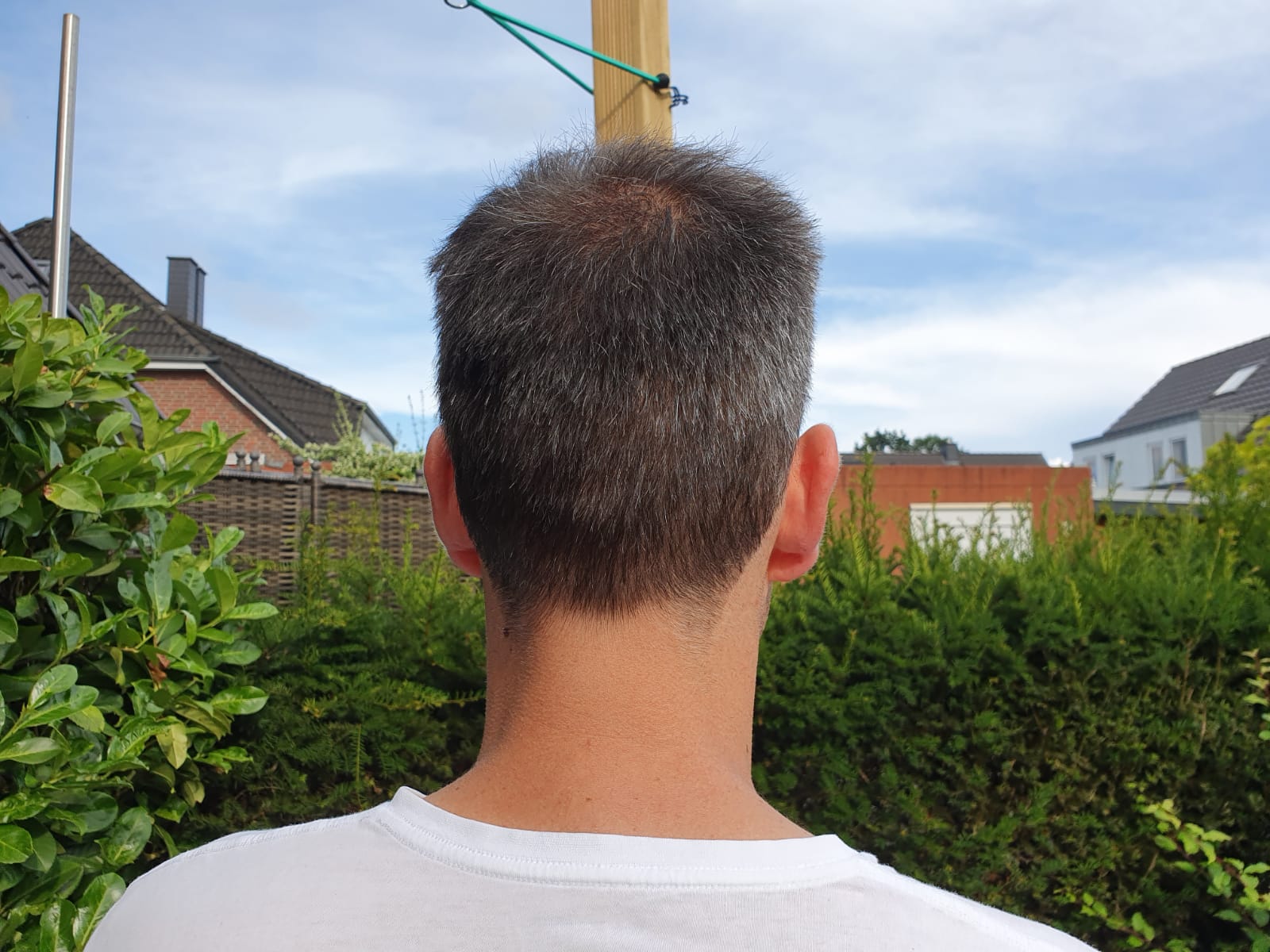 /foren/transplant/index.php/fa/43278/0/