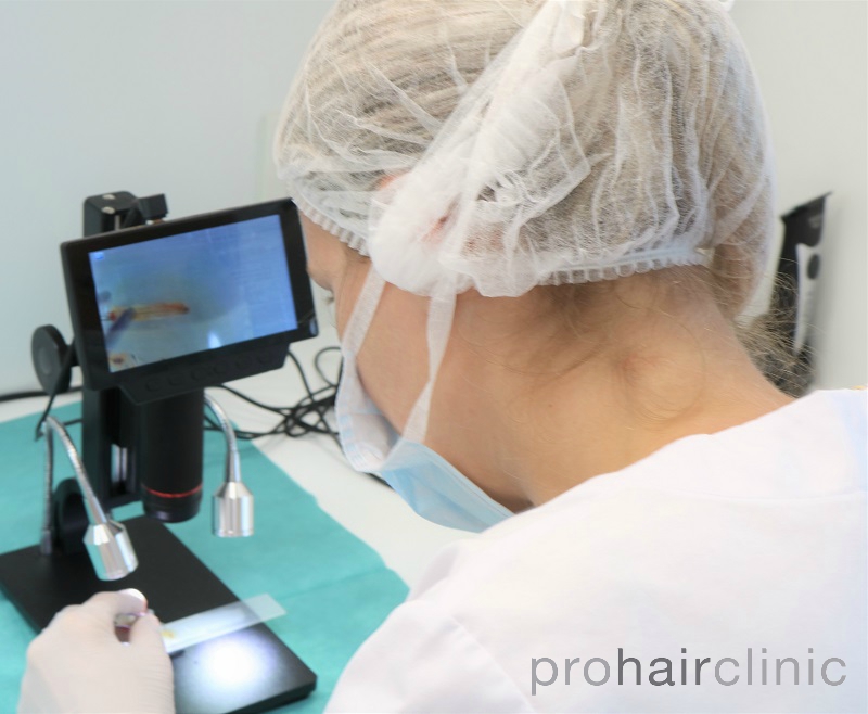 /foren/transplant/index.php/fa/44670/0/