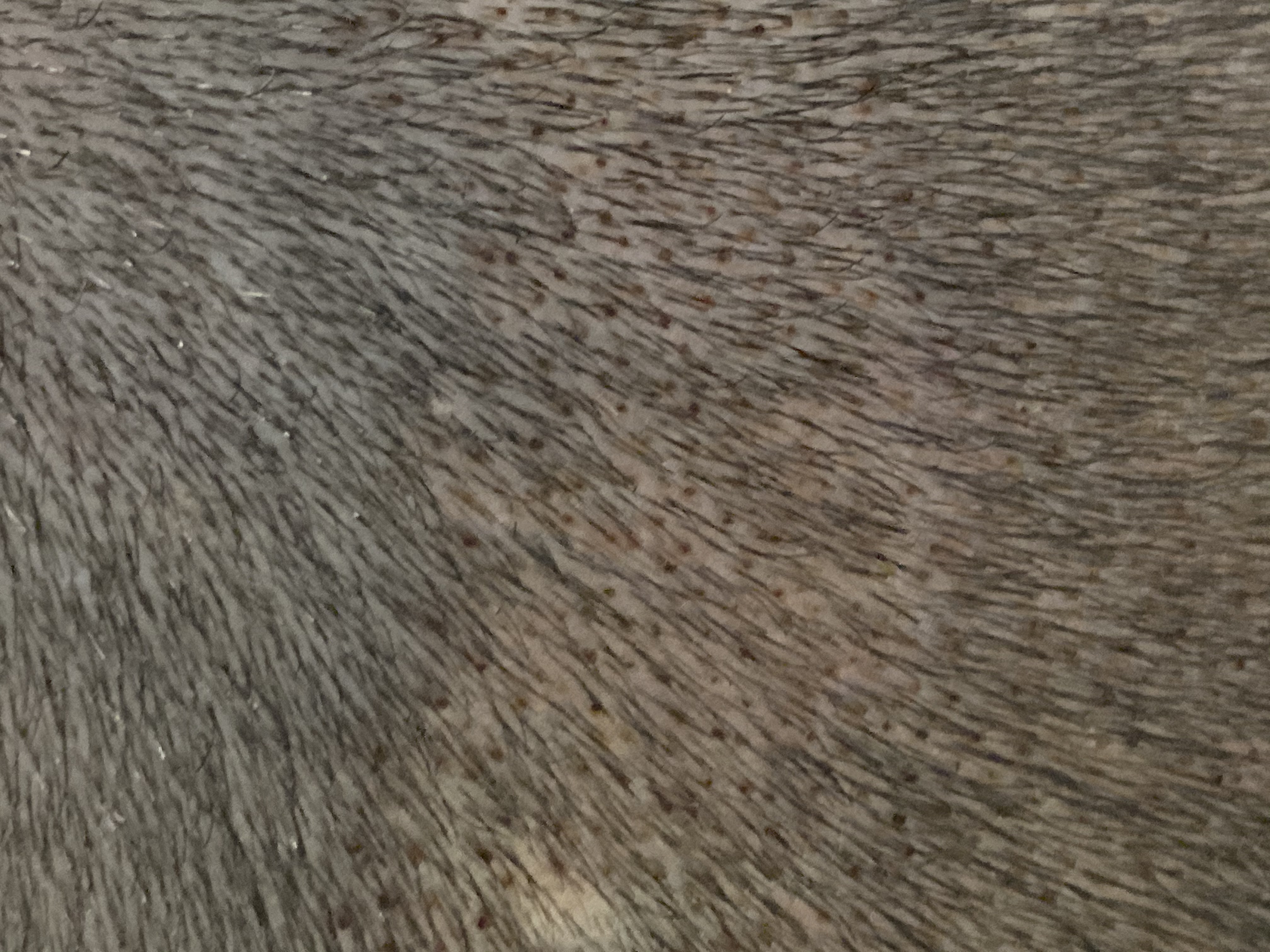 /foren/transplant/index.php/fa/44683/0/