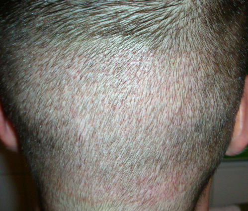 index.php/fa/4502/0/