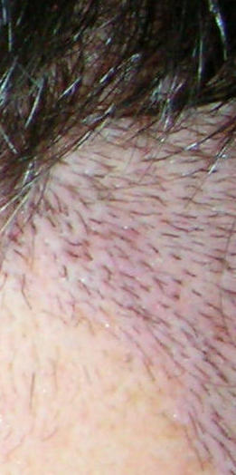 index.php/fa/4514/0/