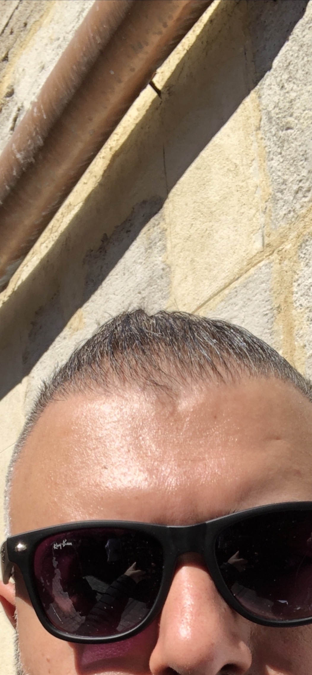 /foren/transplant/index.php/fa/45286/0/