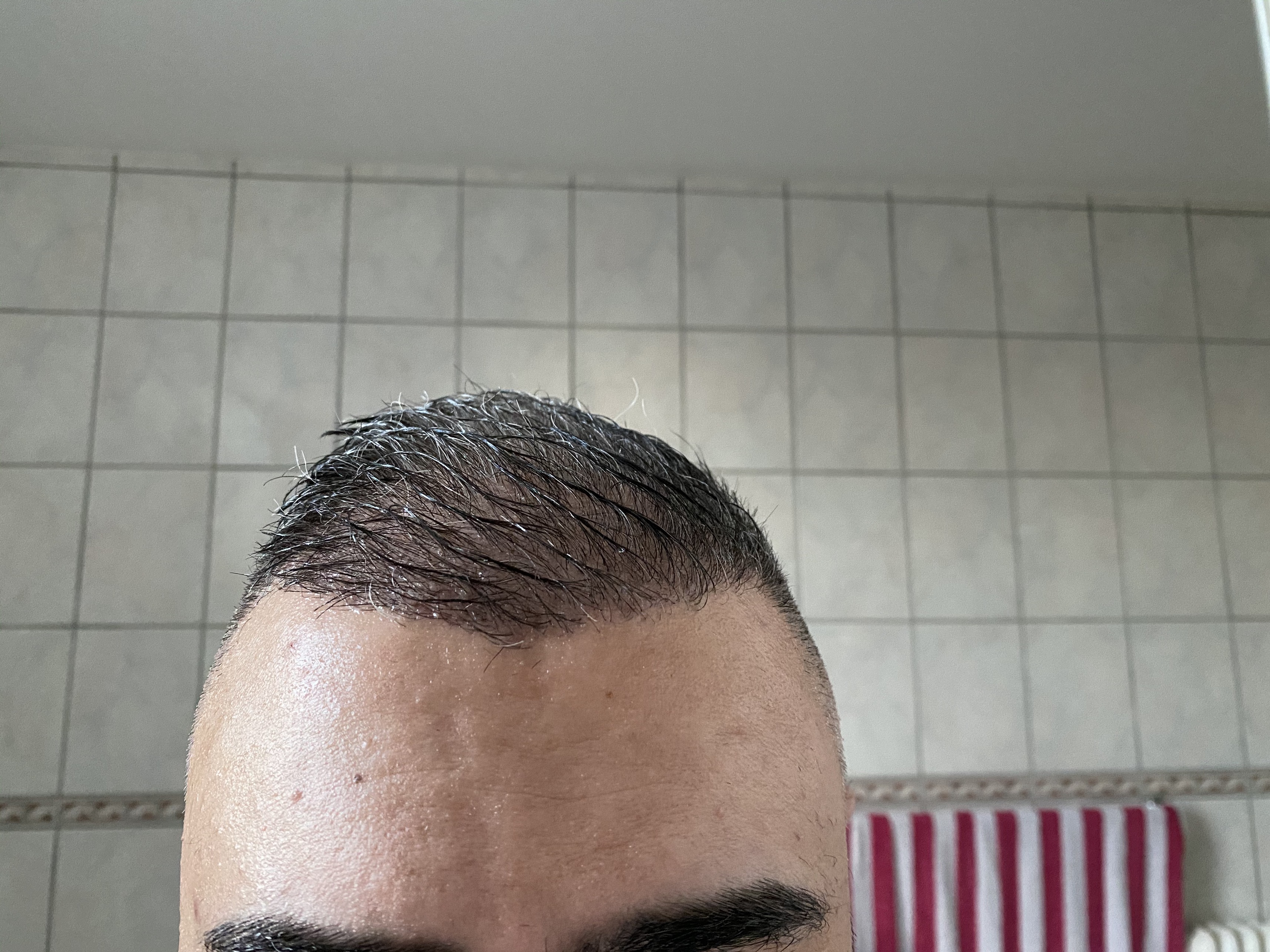 /foren/transplant/index.php/fa/45291/0/