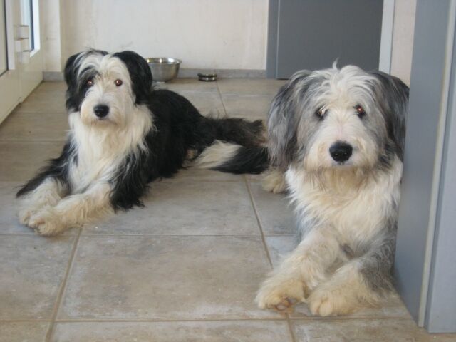 index.php/fa/4596/0/