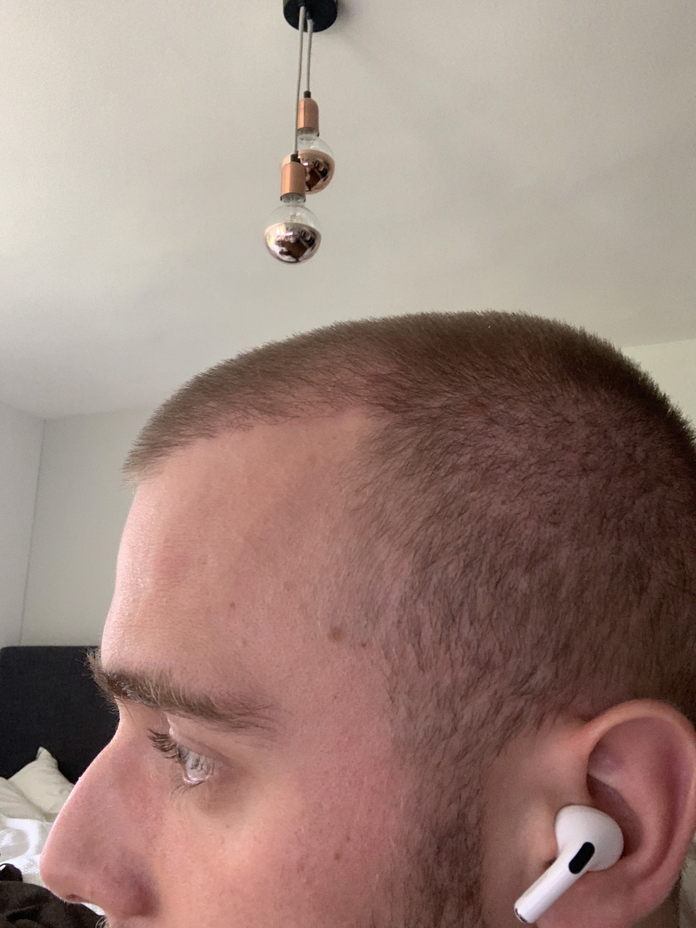 /foren/transplant/index.php/fa/46596/0/